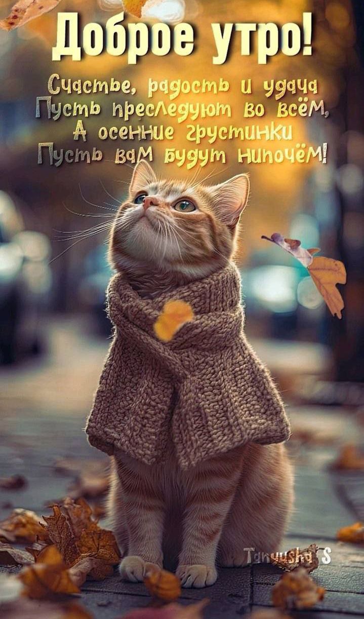 Доброе утро! Счастье, радость и удача Пусть преследуют во всём, А осенние грустинки Пусть вам будут нипочём!