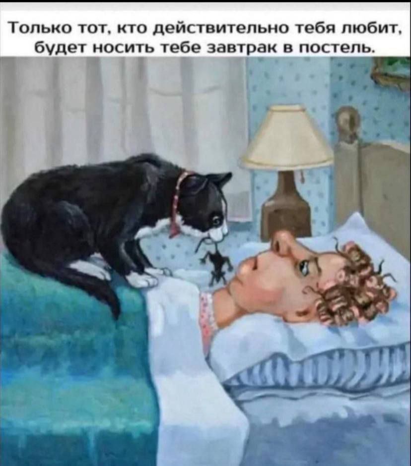 Только тот, кто действительно тебя любит, будет носить тебе завтрак в постель.