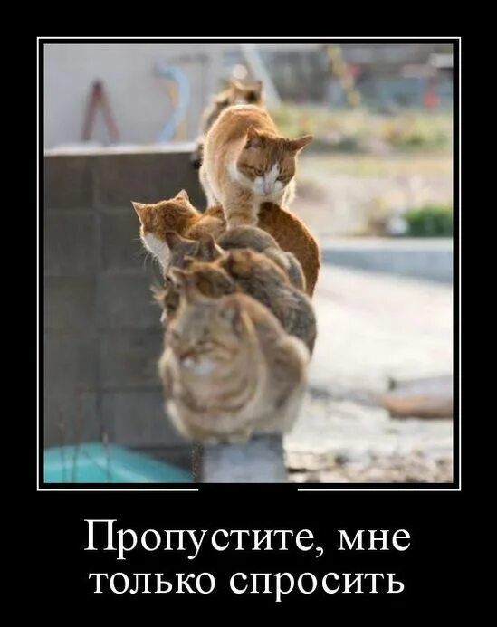 Пропустите, мне только спросить
