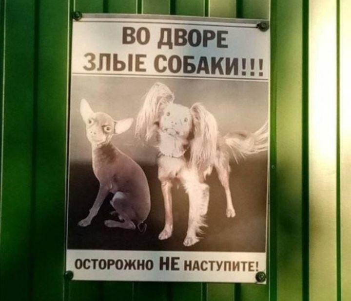 ВО ДВОРЕ ЗЛЫЕ СОБАКИ!!!
ОСТОРОЖНО НЕ НАСТУПИТЕ!