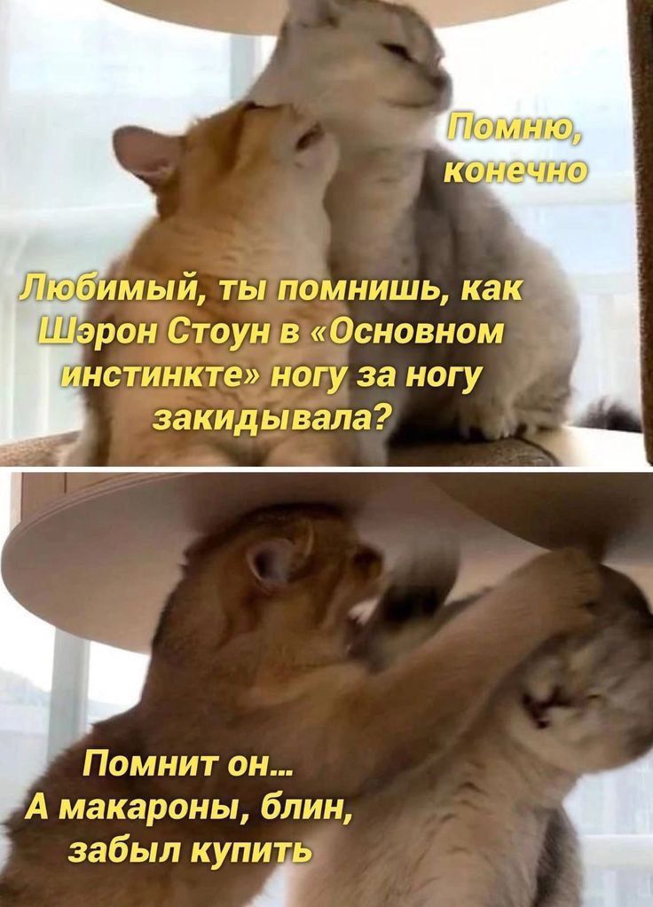 Помню, конечно
Любимый, ты помнишь, как Шэрон Стоун в «Основном инстинкте» ногу за ногу закидывала?
Помнит он...
А макароны, блин, забыл купить