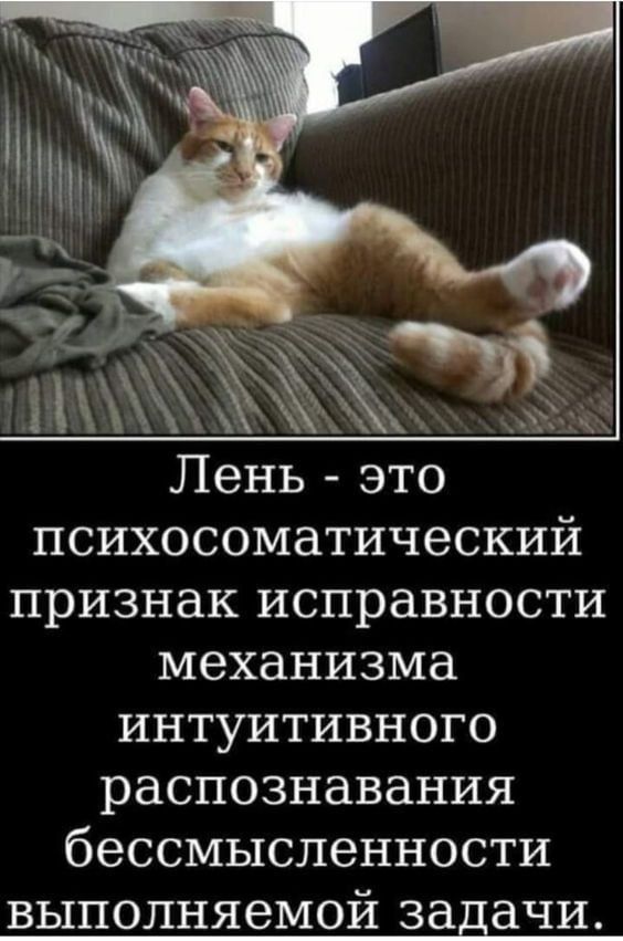Лень - это психосоматический признак исправности механизма интуитивного распознавания бессмысленности выполняемой задачи.