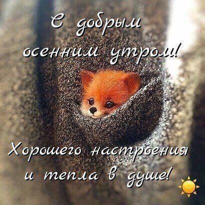 С добрым осенним утром! Хорошего настроения и тепла в душе!