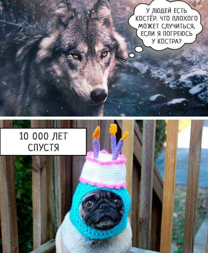 У людей есть костёр. Что плохого может случиться, если я погреюсь у костра? 10 000 лет спустя