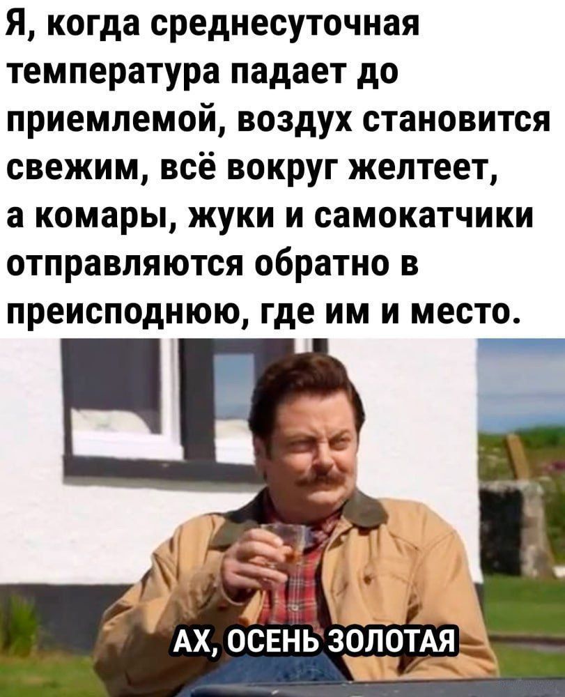 Я, когда среднесуточная температура падает до приемлемой, воздух становится свежим, всё вокруг желтеет, а комары, жуки и самокатчики отправляются обратно в преисподнюю, где им и место.
АХ, ОСЕНЬ ЗОЛОТАЯ