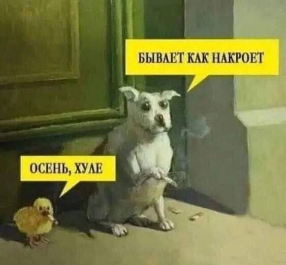 ОСЕНЬ, ХУЛЕ
БЫВАЕТ КАК НАКРОЕТ