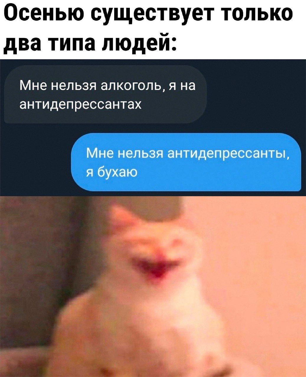 Осенью существует только два типа людей:
Мне нельзя алкоголь, я на антидепрессантах.
Мне нельзя антидепрессанты, я бухаю.