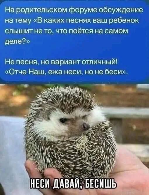 На родительском форуме обсуждение на тему «В каких песнях ваш ребенок слышит не то, что поётся на самом деле?» Не песня, но вариант отличный! «Отче Наш, ежа неси, но не беси». Неси давай, бесишь.