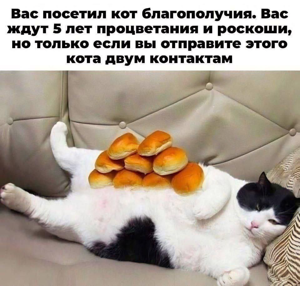 Вас посетил кот благополучия. Вас ждут 5 лет процветания и роскоши, но только если вы отправите этого кота двум контактам.