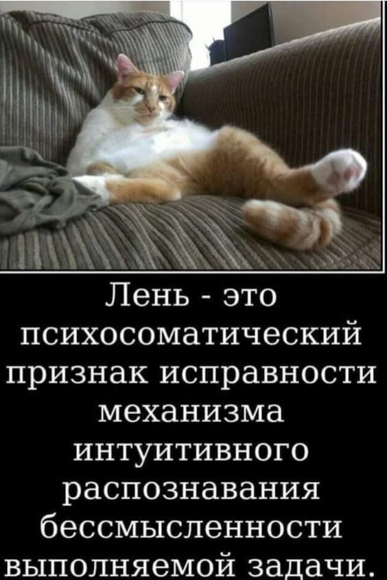 Лень - это psychosomatic знак исправности механизма интуитивного распознавания бессмысленности выполняемой задачи.
