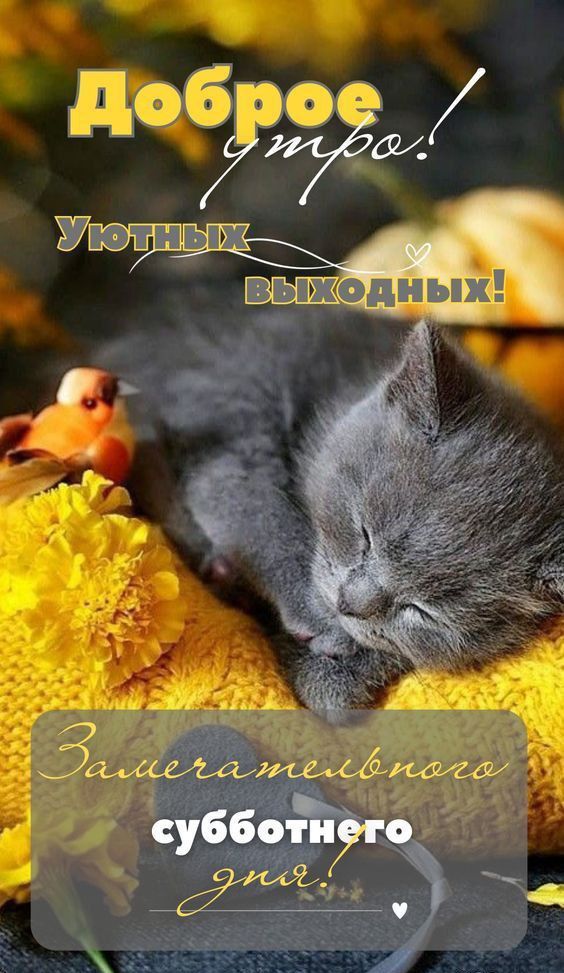 Доброе утро! Уютных выходных! Замечательного субботнего дня!
