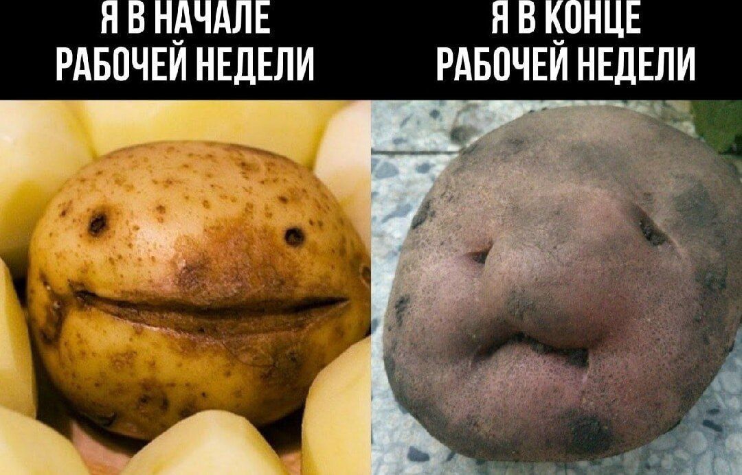 Я В НАЧАЛЕ РАБОЧЕЙ НЕДЕЛИ
Я В КОНЦЕ РАБОЧЕЙ НЕДЕЛИ