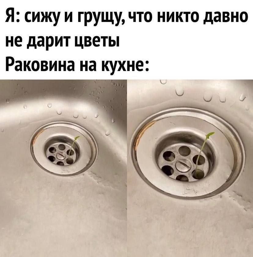 Я: сижу и грущу, что никто давно не дарит цветы Раковина на кухне: