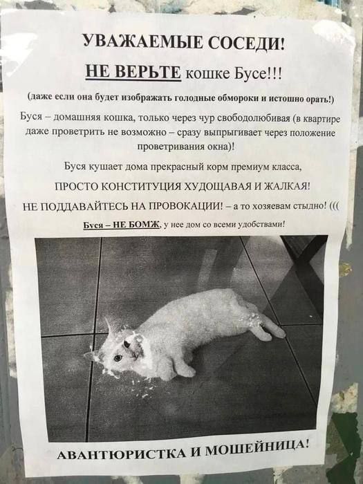 УВАЖАЕМЫЕ СОСЕДИ! НЕ ВЕРЬТЕ кошке Бусе!!! (даже если она будет изображать голодные обморожки и истошно орать!)

Буся – домашняя кошка, только через узор свободнолюбивых (в квартире даже проверить их невозможно – сразу выдает через положение проветривания окна!)

Бусь кушает дома прекрасный корм премиум класса, ПРОСТО КОНСТИТУЦИЯ ХУДОЖАВАЯ И ЖАЛКАЯ! 

НЕ ПОДДАВАЙТЕСЬ НА ПРОВОКАЦИИ! – а то хозяевам стыдно! ((

Бусь – НЕ БОМЖ; у нее дом со всеми удобствами!

АВАНГАРДИСТКА & МОШЕННИЦА!
