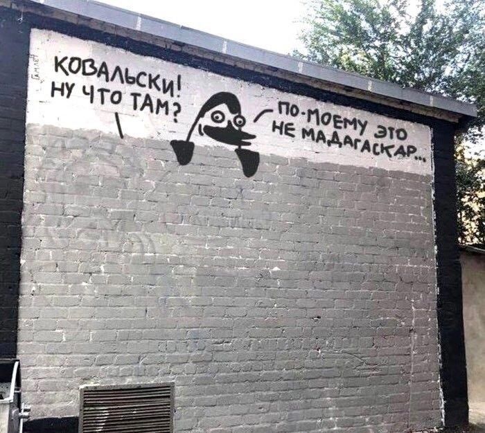 Ковальский! Ну что там? По-моему это не Мадагаскар...
