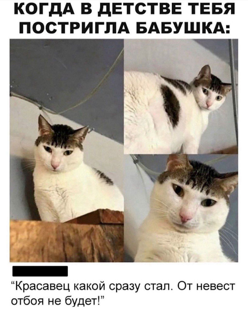 КОДА В ДЕТСТВЕ ТЕБЯ ПОСТРИГЛА БАБУШКА: 