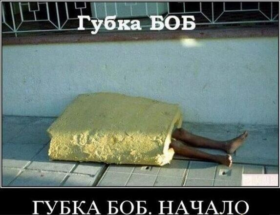 Губка БОБ. ГУБКА БОБ. НАЧАЛО