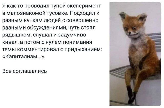 Я как-то проводил тупой эксперимент в малознакомой тусовке. Подходил к разным кучкам людей с совершенно разными обсуждениями, чуть стоял рядышком, слушал и задумчиво кивал, а потом с нулем понимания темы комментировал с придыханием: «Капитализм...». Все согласились.