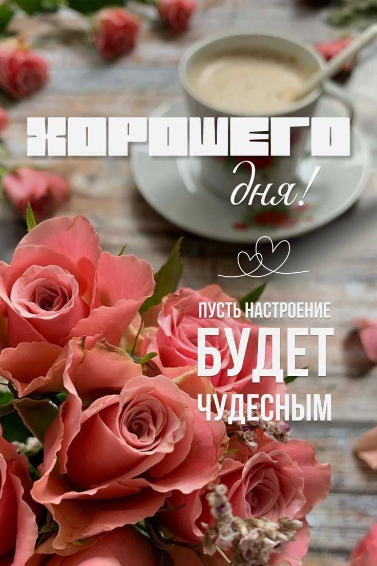 ХОРОШЕГО дня!
ПУСТЬ НАСТРОЕНИЕ БУДЕТ ЧУДЕСНЫМ