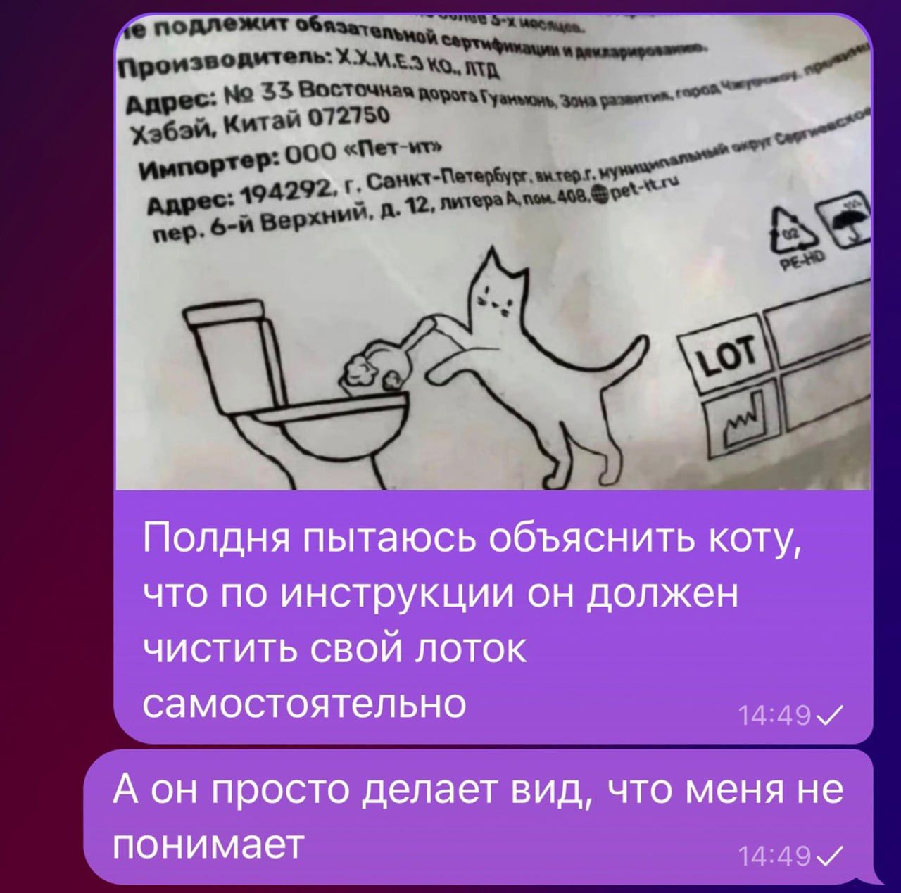 Полдня пытаюсь объяснить коту, что по инструкции он должен чистить свой лоток самостоятельно. А он просто делает вид, что меня не понимает.