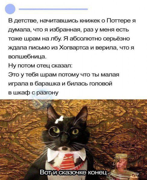 В детстве, начитавшись книжек о Поттере я думала, что я избранная, раз у меня есть тоже шрам на лбу. Я абсолютно серьёзно ждала письмо из Хогвартса и верила, что я волшебница.
Ну потом отец сказал:
Это у тебя шрам потому что ты малая играла в барашка и билась головой в шкаф с разгон.
Вот и скажу конец.