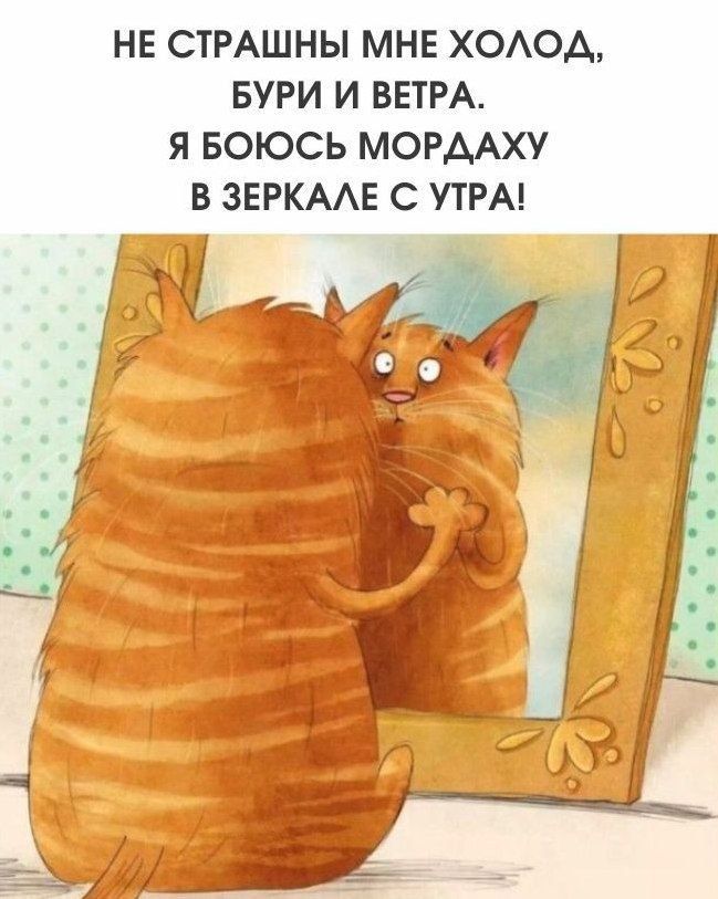 НЕ СТРАШНЫ МНЕ ХОЛОД, БУРИ И ВЕТРА. Я БОЮСЬ МОРДахУ В ЗЕРКАЛЕ С УТРА!