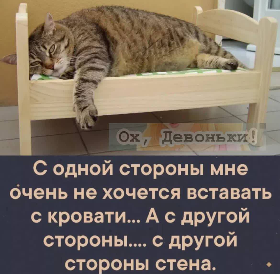 С одной стороны мне очень не хочется вставать с кровати... А с другой стороны.... с другой стороны стена.