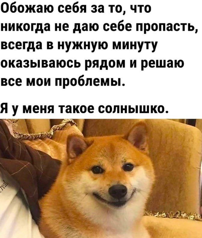Обожаю себя за то, что никогда не даю себе пропасть, всегда в нужную минуту оказываюсь рядом и решаю все мои проблемы.
Я у меня такое солнышко.