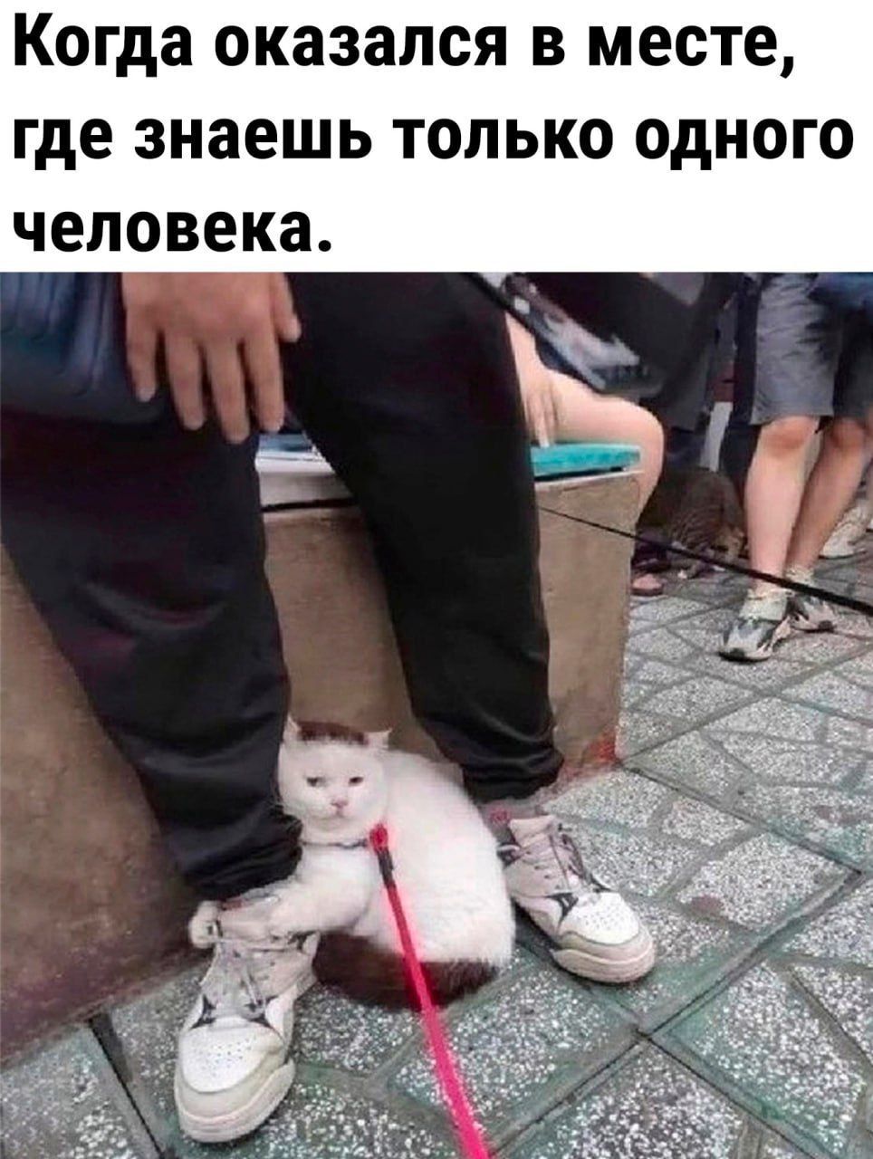 Когда оказался в месте, где знаешь только одного человека.