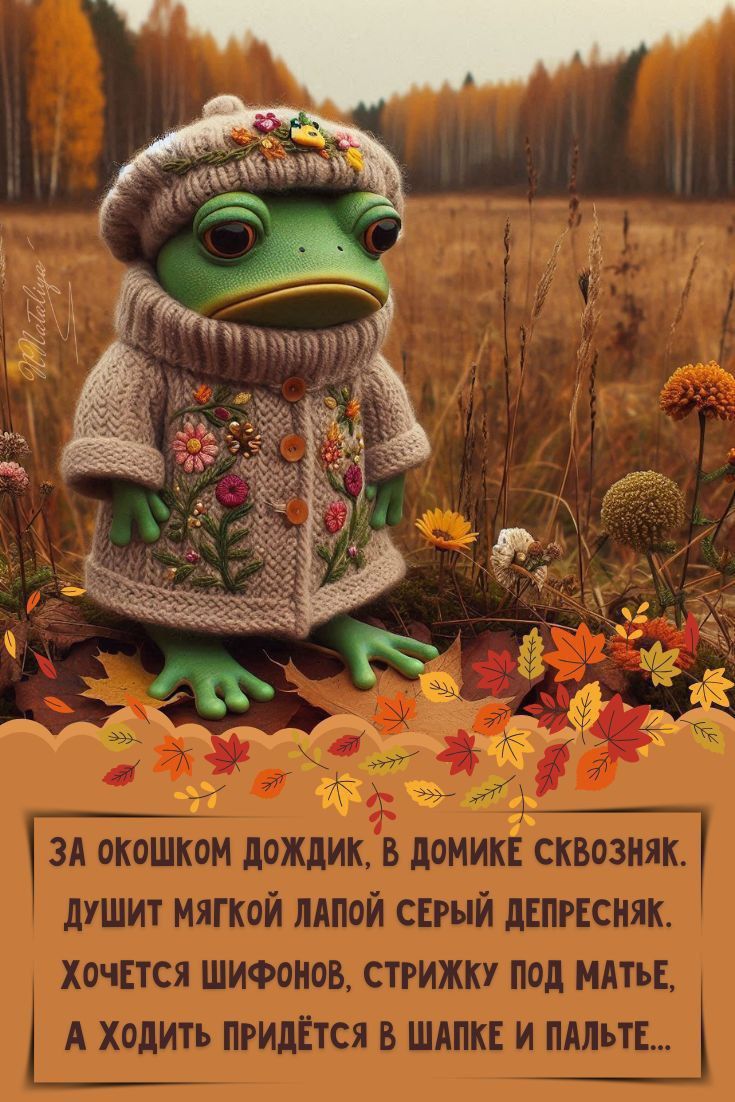 За окошком дождик, в домике сквозняк. Душит мягкой лапой серый депресняк. Хочется шифонов, стрижку под матё, а ходить придётся в шапке и пальте...