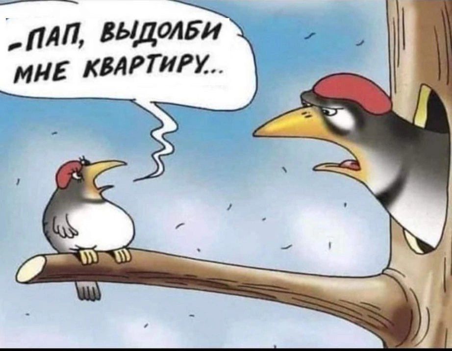 - Пап, выдолби мне квартиру...
