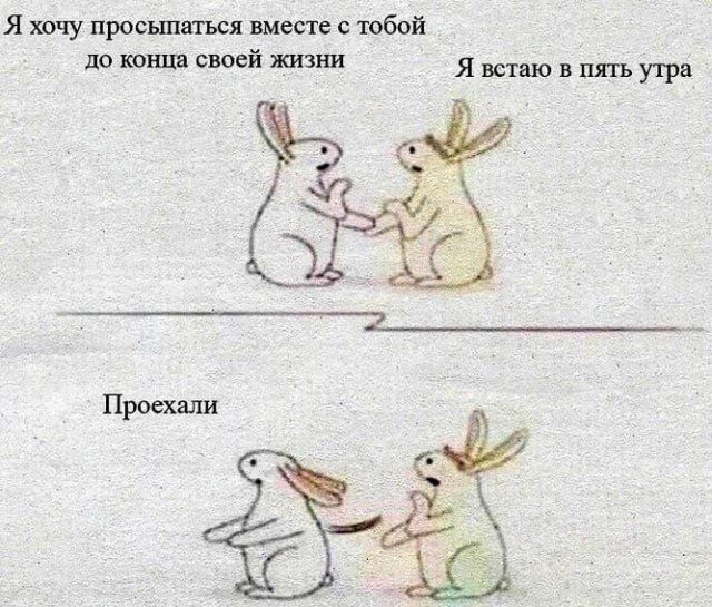 Я хочу просыпаться вместе с тобой до конца своей жизни
Я встаю в пять утра
Проехали