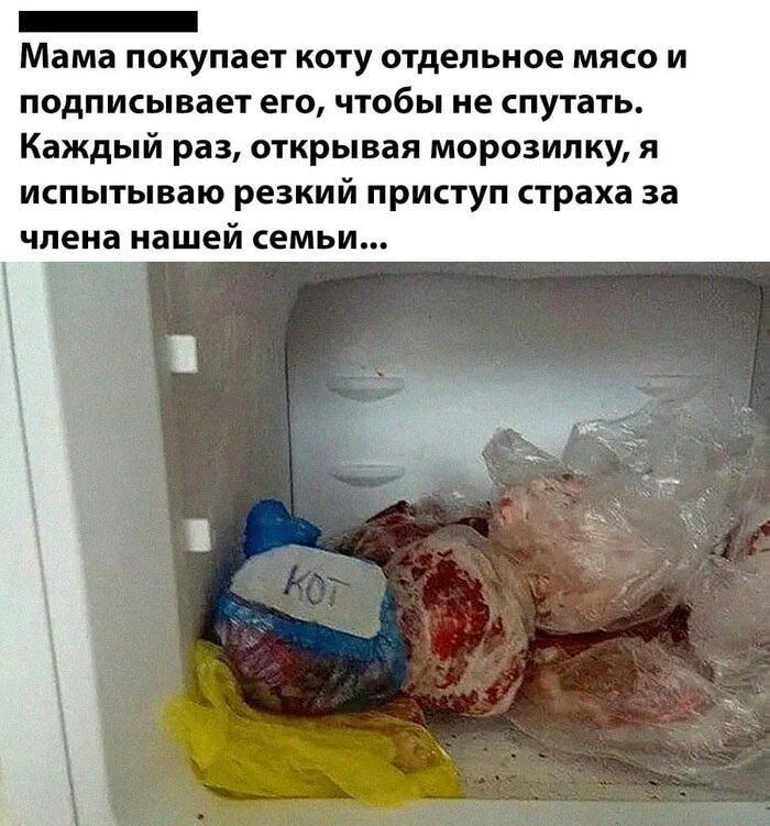 Мама покупает коту отдельное мясо и подписывает его, чтобы не спутать. Каждый раз, открывая морозилку, я испытываю резкий приступ страха за члена нашей семьи...