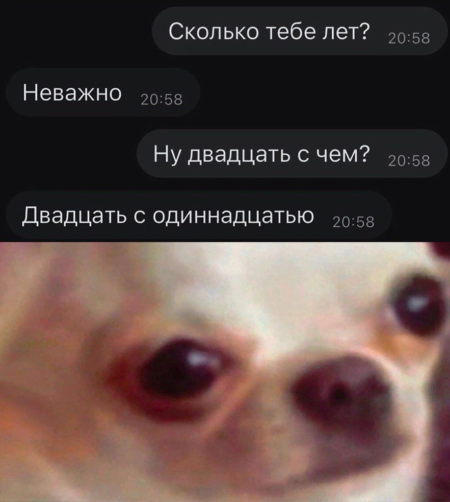 Сколько тебе лет? Неважно. Ну двадцать с чем? Двадцать с одиннадцатью.