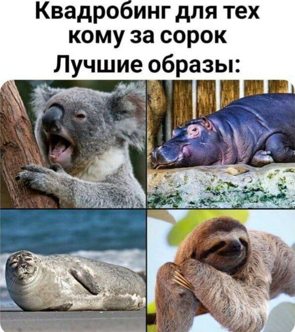 Квадробинг для тех кому за сорок
Лучшие образы: