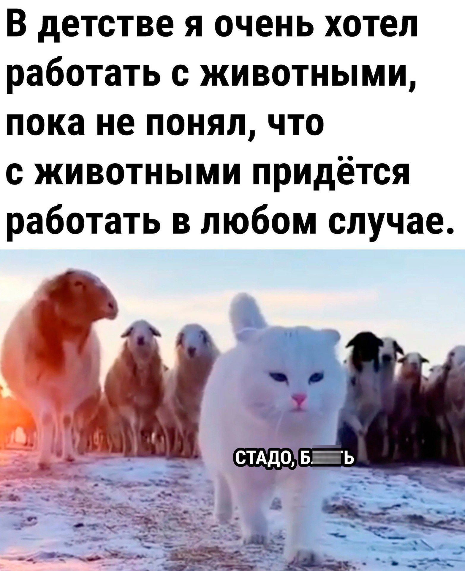 В детстве я очень хотел работать с животными, пока не понял, что с животными придётся работать в любом случае.
СТАДО, Б----ь