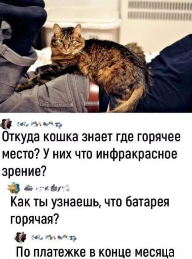 Откуда кошка знает где горячее место? У них что инфракрасное зрение?
Как ты узнаешь, что батарея горячая?
По платёжке в конце месяца.