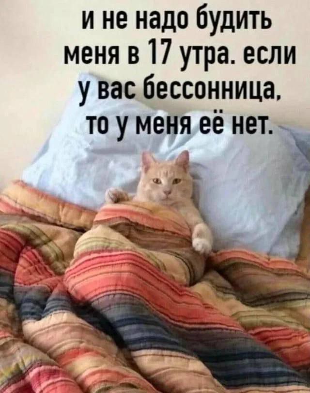 и не надо будить меня в 17 утра. если у вас бессонница, то у меня её нет.