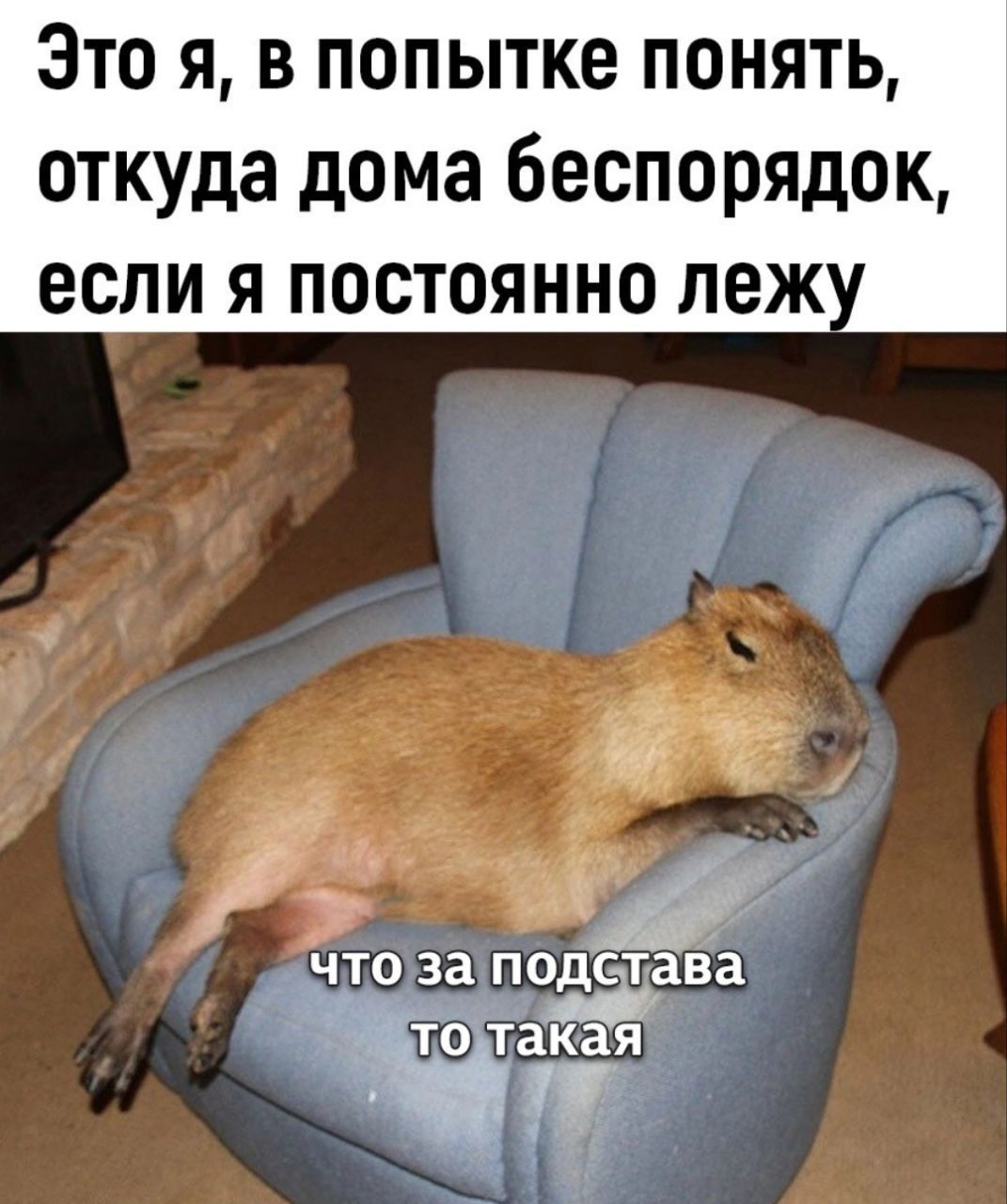 Это я, в попытке понять, откуда дома беспорядок, если я постоянно лежу. что за подстава то такая.
