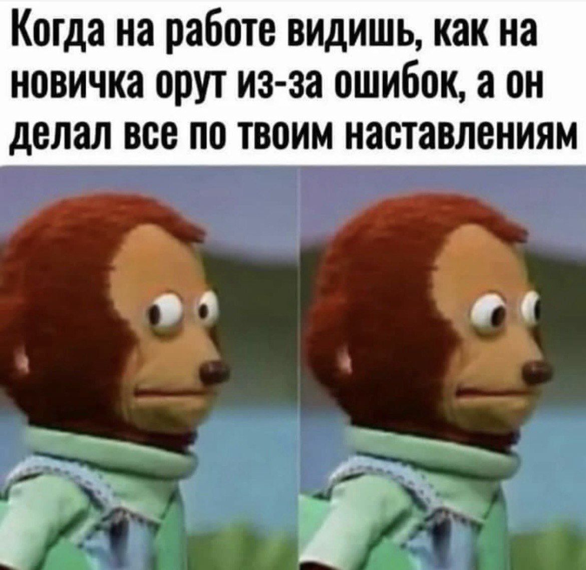 Когда на работе видишь, как на новичка орут из-за ошибок, а он делал все по твоим наставлениям