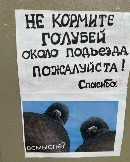 НЕ КОРМИТЕ ГОЛУБЕЙ ОКОЛО ПОДЪЕЗДА ПОЖАЛУЙСТА! Спасибо.
всмысле?