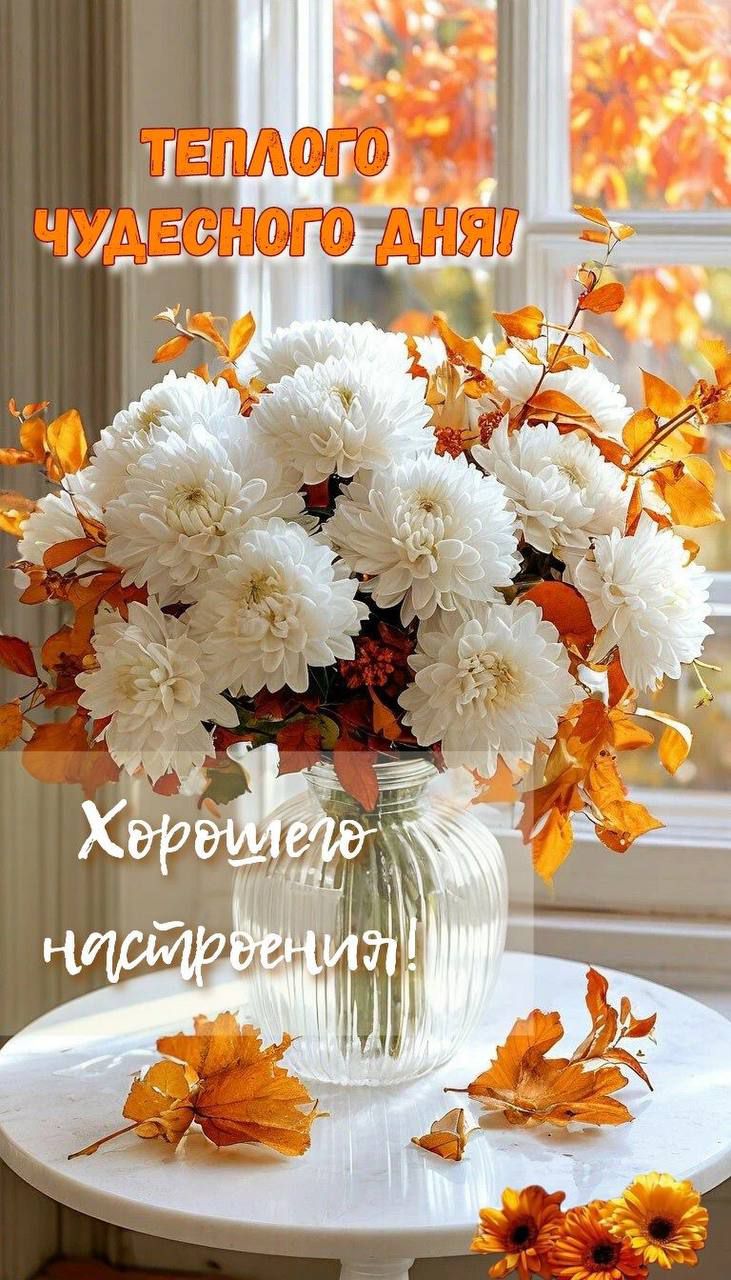 ТЕПЛОГО ЧУДЕСНОГО ДНЯ! Хорошего настроения!