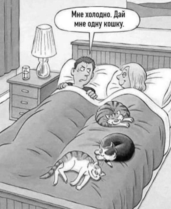 Мне холодно. Дай мне одну кошку.