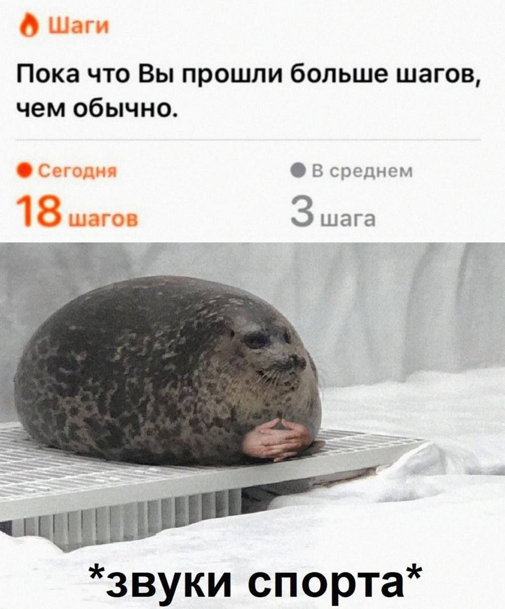 Пока что Вы прошли больше шагов, чем обычно.
Сегодня 18 шагов
В среднем 3 шага
*звуки спорта*