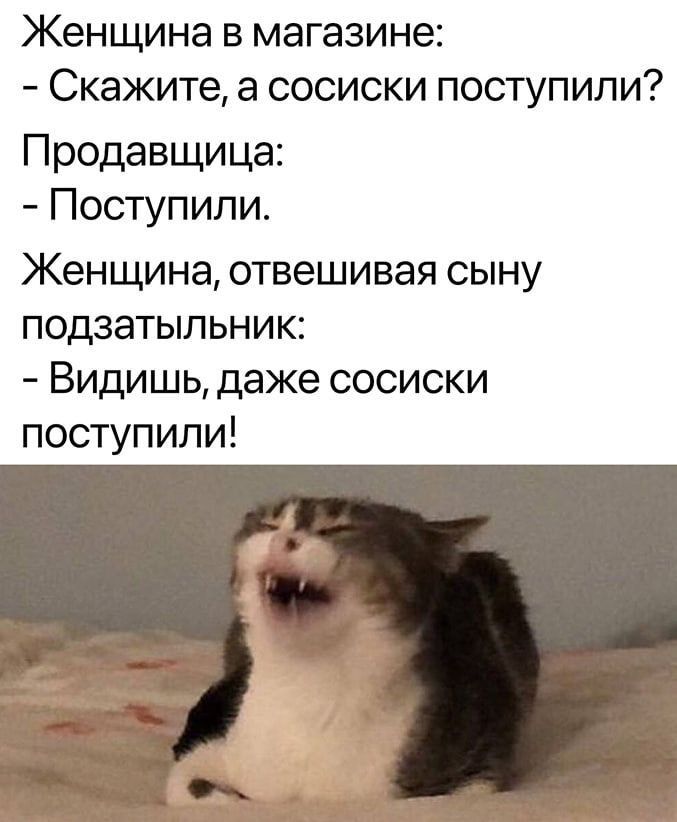 Женщина в магазине: - Скажите, а сосиски поступили? Продавщица: - Поступили. Женщина, отве́шивая сыну подзатыльник: - Видишь, даже сосиски поступили!