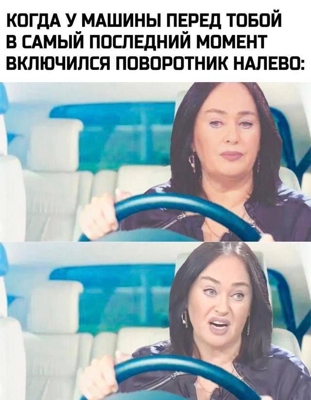 КОГДА У МАШИНЫ ПЕРЕД ТОБОЙ В САМОМ ПОСЛЕДНИЙ МОМЕНТ ВКЛЮЧИЛСЯ ПОВОРОТНИК НАЛЕВО: