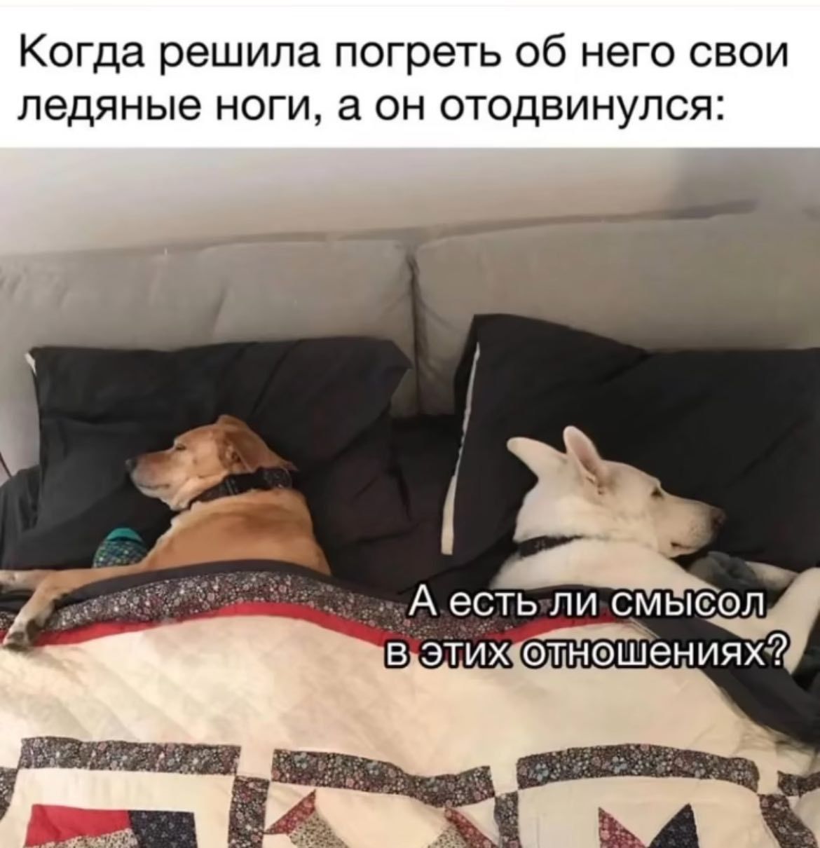 Когда решила погреть об него свои ледяные ноги, а он отодвинулся:
А есть ли смысл в этих отношениях?