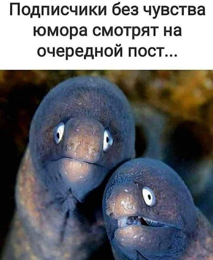 Подписчики без чувства юмора смотрят на очередной пост...