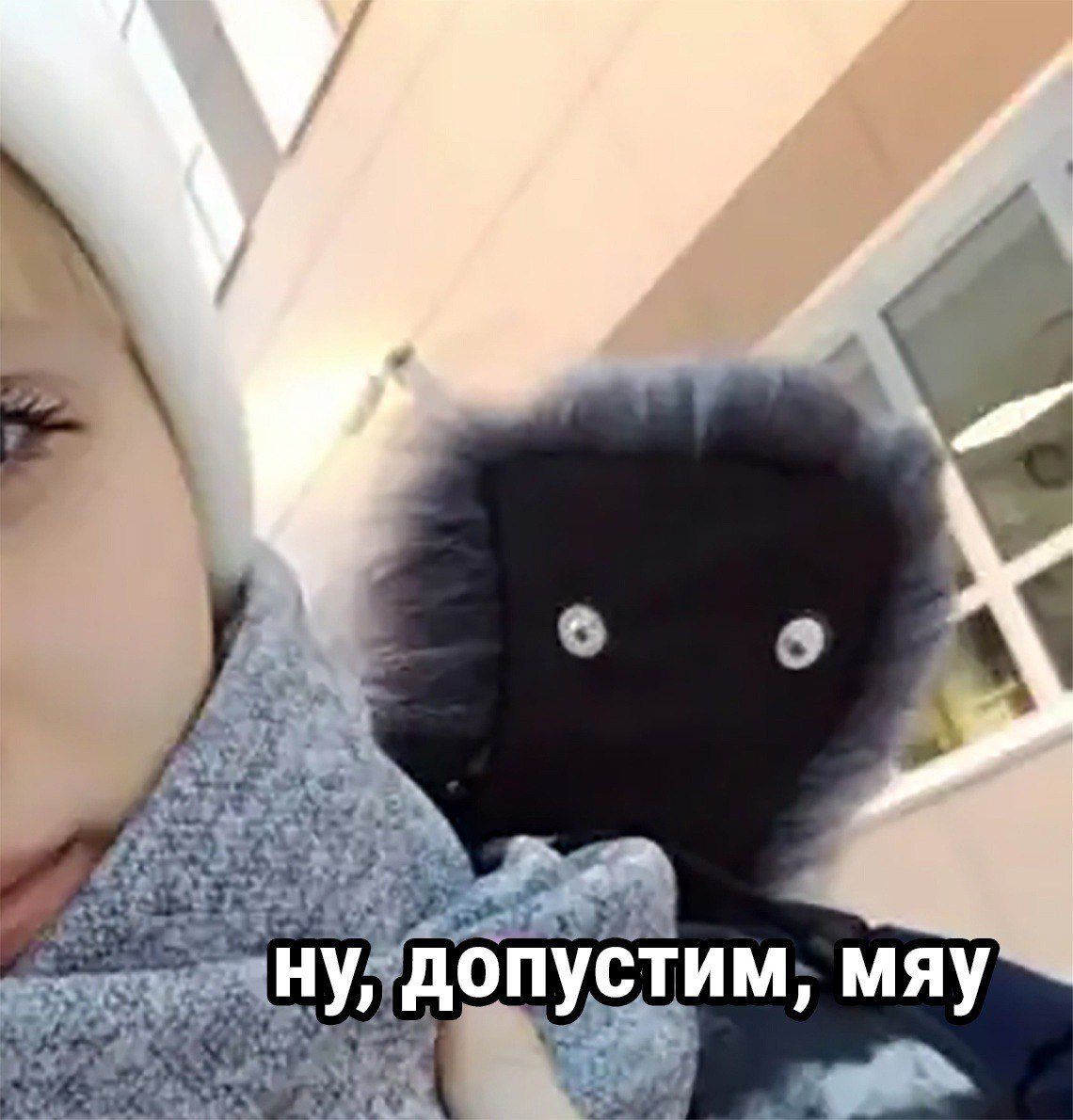 ну, допустим, мяу