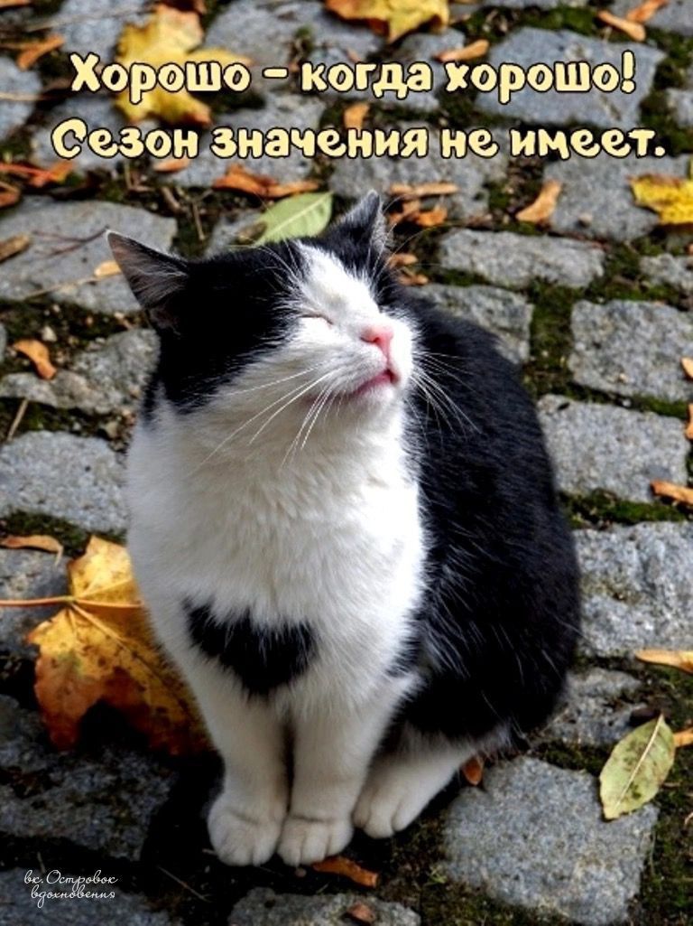 Хорошо - когда хорошо! Сезон значения не имеет.
